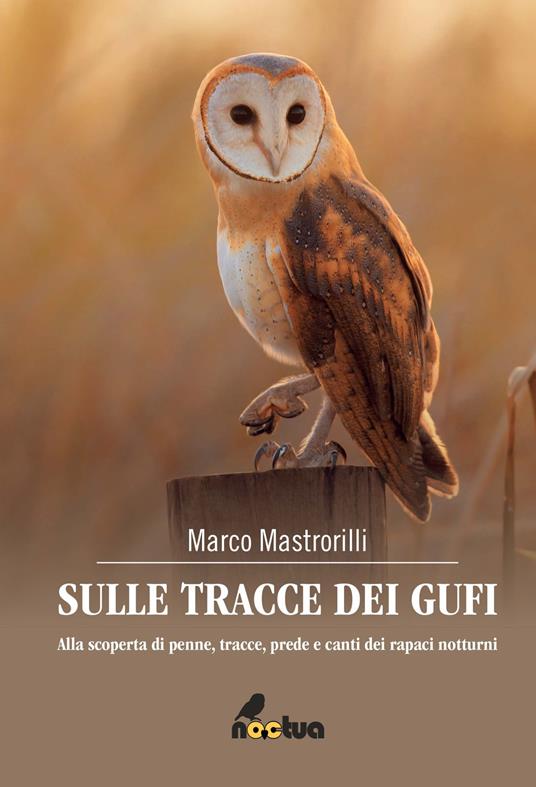 Sulle tracce dei gufi. Alla scoperta di penne, tracce, prede e canti dei rapaci notturni - Marco Mastrorilli - copertina