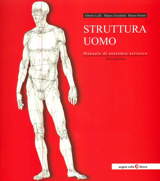 Struttura uomo. Manuale di anatomia artistica - Alberto Lolli,Mauro Zocchetta,Renzo Peretti - copertina