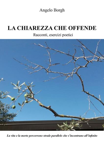 La chiarezza che offende. Racconti, esercizi poetici. Nuova ediz. - Angelo Borgh - copertina