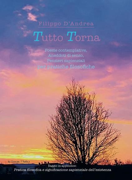 Tutto torna. Poesie contemplative, aneddoti di senso, pensieri sapienziali per pratiche filosofiche - Filippo D'Andrea - copertina