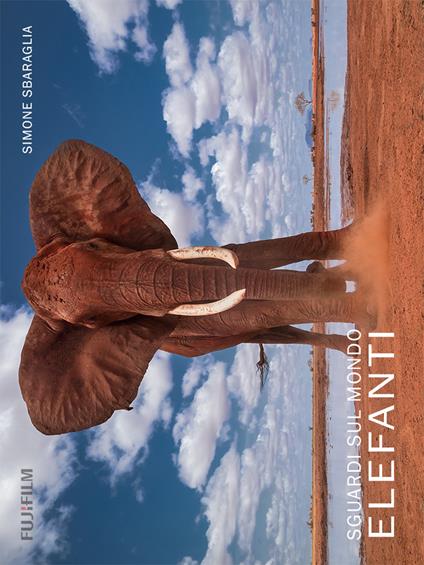 Sguardi sul mondo: elefanti. Ediz. illustrata - Simone Sbaraglia - copertina