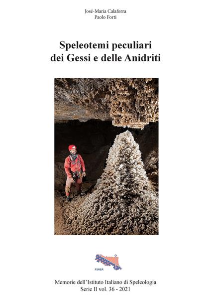 Speleotemi peculiari dei Gessi e delle Anidriti. Il punto sulle concrezioni e mineralizzazioni delle grotte in gesso e anidrite, rarità e peculiarità ad oggi poco conosciute - José-Maria Calaforra,Paolo Forti - copertina