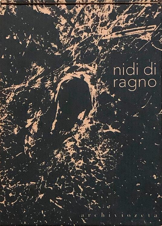 Nidi di ragno. Con Libro o pacchetto di cartoline - copertina