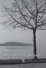 La nebbia sale dal lago