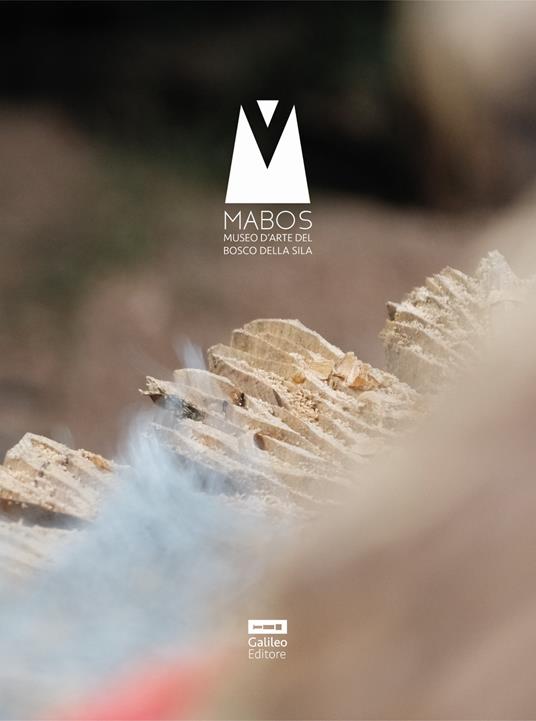 Il catalogo del Mabos. Arte e bosco. Sense 2019-2022. Ediz. illustrata - copertina