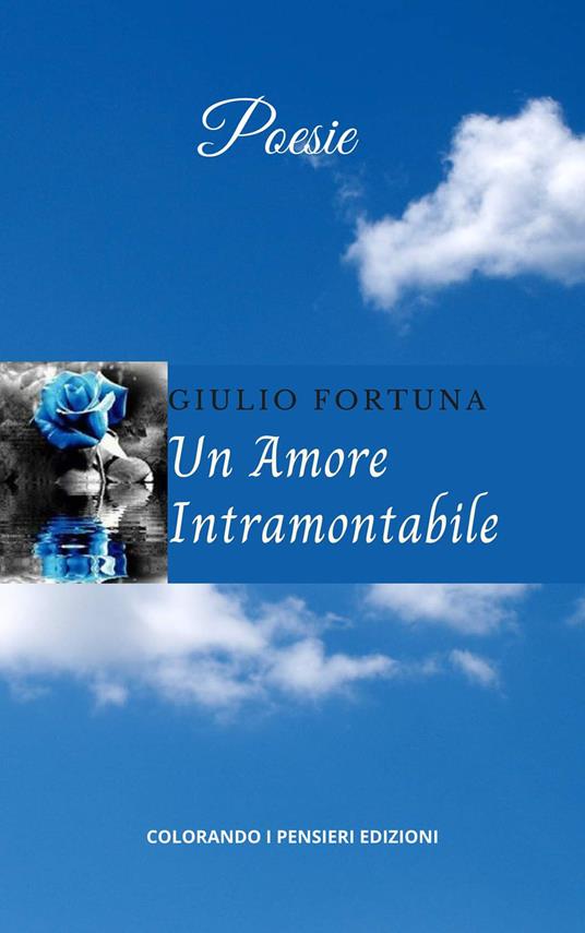 Un amore intramontabile - Giulio Fortuna - copertina