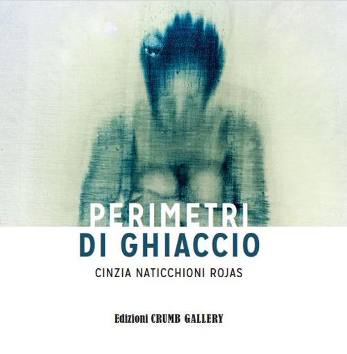 Perimetri di ghiaccio. Cinzia Naticchioni Rojas. Ediz. illustrata - copertina