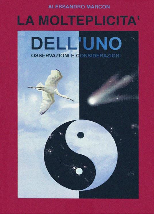 La molteplicità dell'uno - Alessandro Marcon - copertina