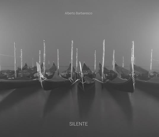 Silente. Ediz. illustrata - Alberto Barbaresco - copertina