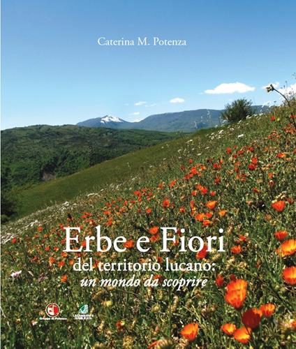 Erbe e fiori del territorio lucano. Un mondo da scoprire. Ediz. illustrata - Caterina Potenza - copertina