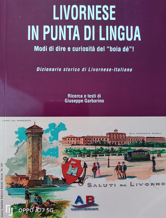 Livornese in punta di lingua. Modi di dire e curiosità del «boia dé» - Giuseppe Garbarino - copertina