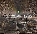 Dalla foresta al bosco. La lignite del Valdarno e la centrale di Santa Barbara. Parte prima: la foresta sommersa. Ediz. illustrata