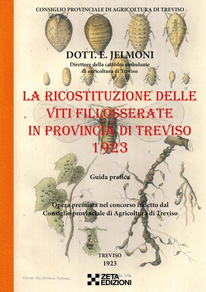 La ricostituzione delle viti fillosserate in provincia di Treviso 1923 - Evaristo Jelmoni - copertina