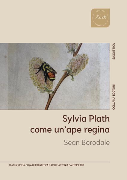 Sylvia Plath. Come un'ape regina - Sean Borodale - copertina