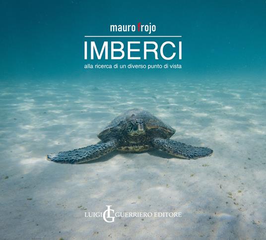 Imberci. Alla ricerca di un diverso punto di vista - Mauro Frojo - copertina