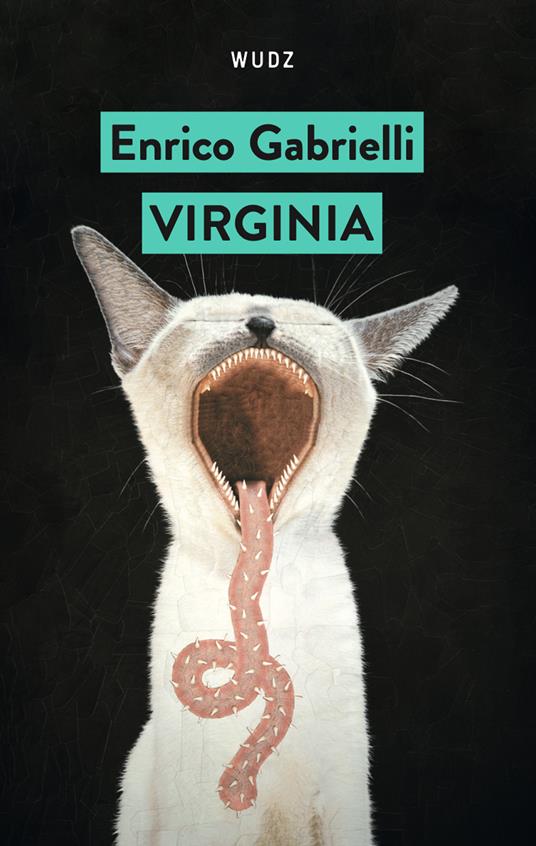 Virginia - Enrico Gabrielli - copertina