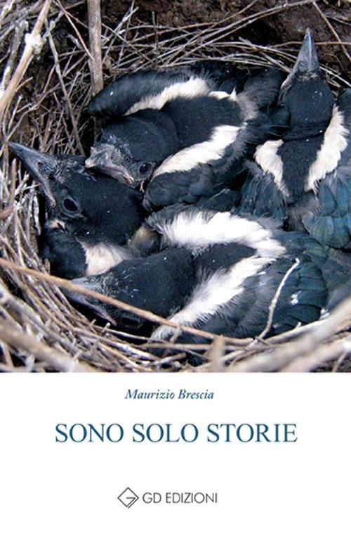 Sono solo storie - Maurizio Brescia - copertina