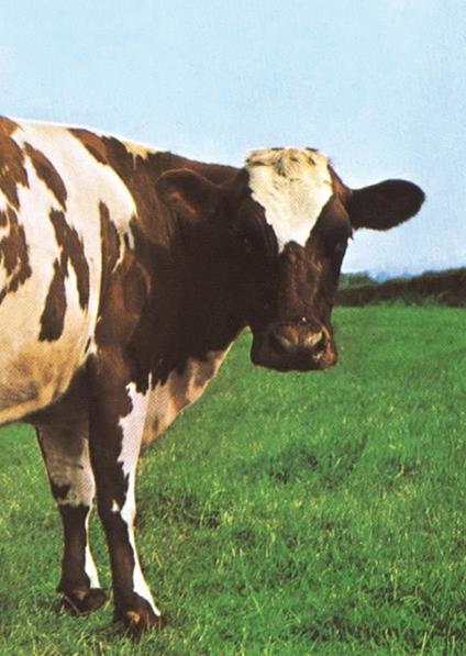 Atom Heart Mother. Il cuore nuovo dei Pink Floyd - Giovanni Rossi - copertina