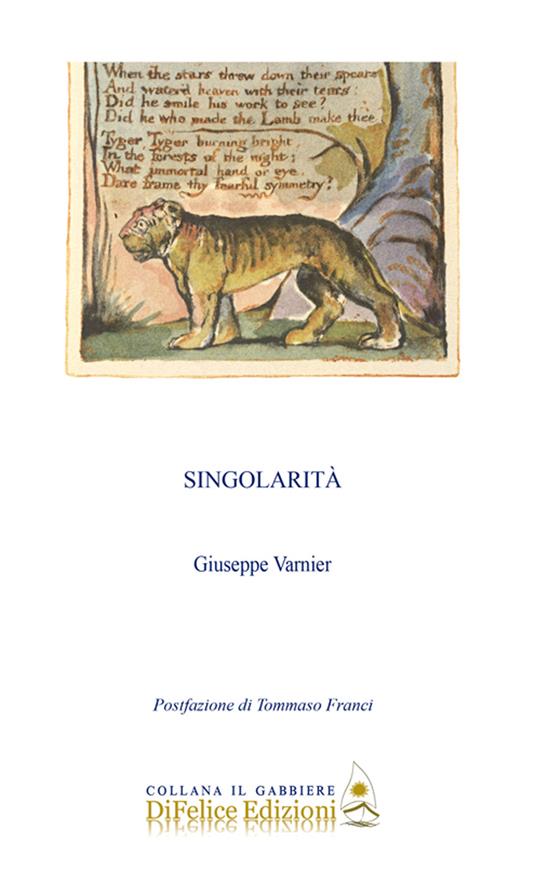 Singolarità - Giuseppe Varnier - copertina