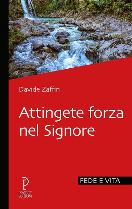 Attingete forza nel Signore - Davide Zaffin - copertina