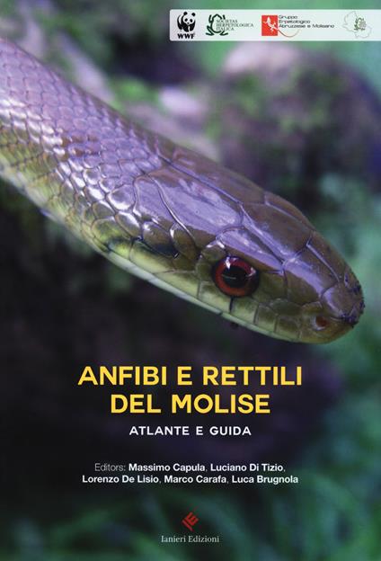 Anfibi e rettili del Molise. Atlante e guida - copertina