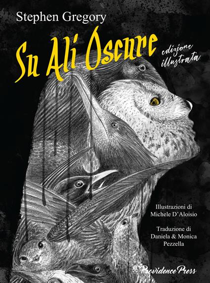 Su ali oscure. Ediz. illustrata - Stephen Gregory - copertina