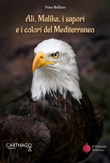 Alì, Malika, i sapori e i colori del Mediterraneo - Nino Bellitto - copertina