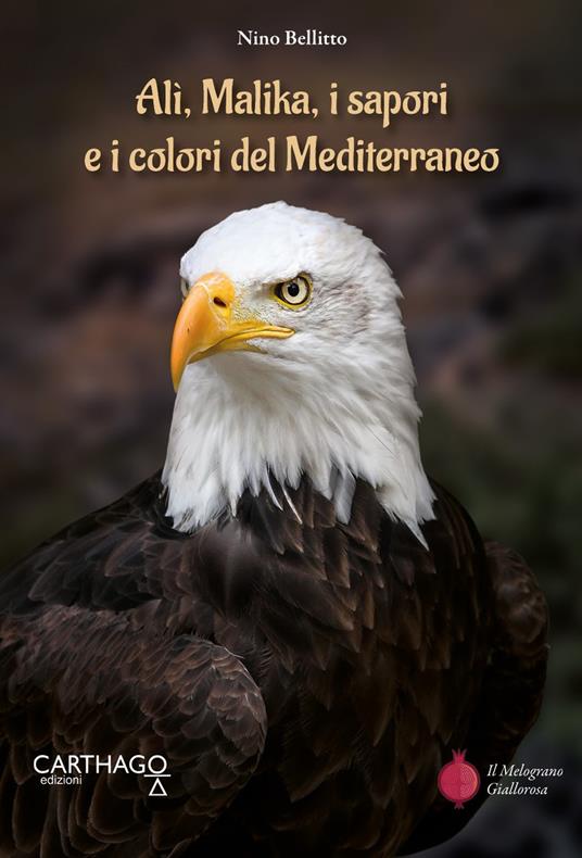Alì, Malika, i sapori e i colori del Mediterraneo - Nino Bellitto - copertina