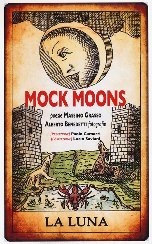 Mock moons. La luna. Ediz. a spirale - Massimo Grasso - copertina