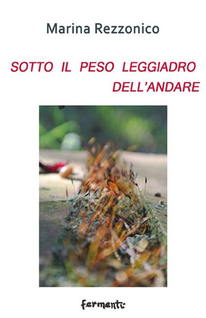 Sotto il peso leggiadro dell'andare - Marina Rezzonico - copertina