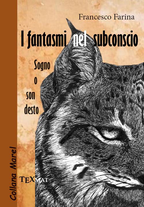 I fantasmi nel subconscio. Sogno o son desto - Francesco Farina - copertina