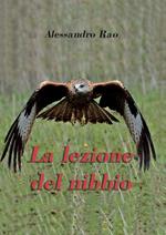 La lezione del nibbio