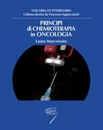 Principi di chemioterapia in oncologia