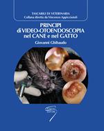 Principi di video-otoendoscopia nel cane e nel gatto