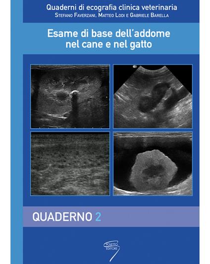 Esame di base dell'addome nel cane e nel gatto. Con Contenuto digitale per download e accesso on line. Vol. 2: Quaderno - Stefano Faverzani,Matteo Lodi,Gabriele Barella - copertina