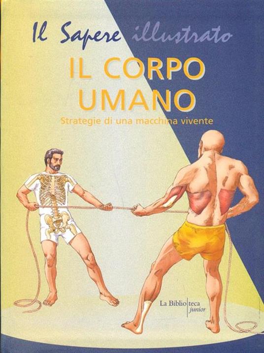 Il corpo umano. Strategie di una macchina vivente - Barbara Gallavotti - 7