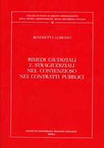 Rimedi giudiziali e stragiudiziali nel contenzioso nei contratti pubblici