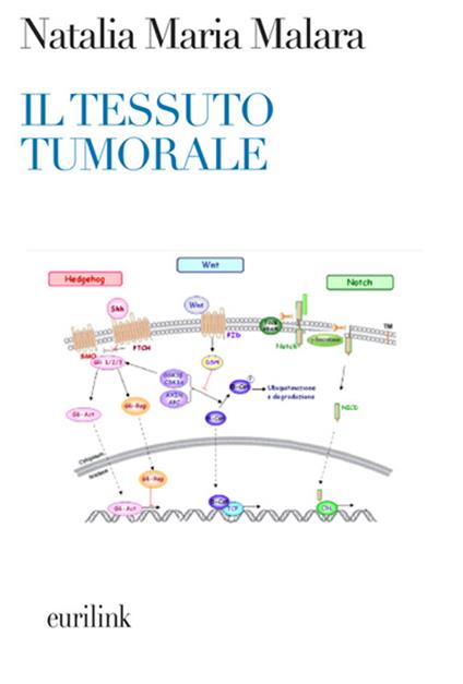 Il tessuto tumorale. Nuove prospettive diagnostico-terapeutiche in oncologia - Natalia M. Malara - copertina