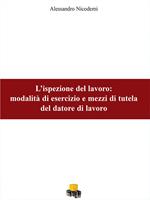 L' ispezione del lavoro. Modalità di esercizio e mezzi di tutela del datore di lavoro