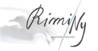 Rimini-Ny. Ediz. italiana e inglese - Silvio Canini,Cristina Brolli,Cesare Padovani - copertina