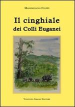 Il cinghiale dei colli Euganei