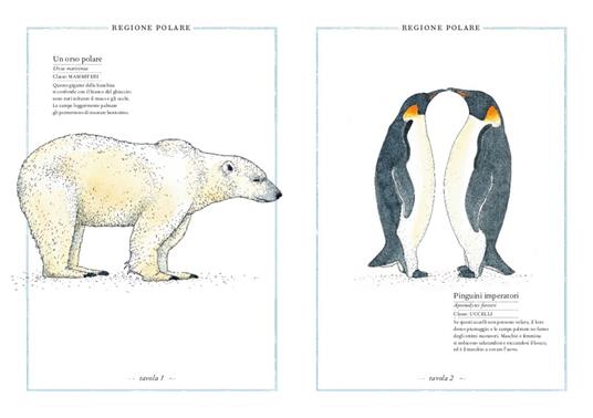 Inventario illustrato degli animali. Ediz. illustrata - Virginie Aladjidi,Emmanuelle Tchoukriel - 2