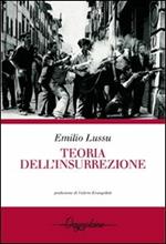 Teoria dell'insurrezione