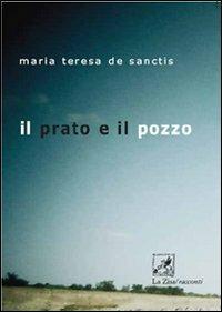 Il prato e il pozzo - M. Teresa De Sanctis - copertina