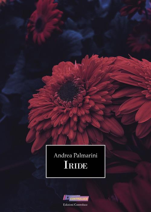 Iride - Andrea Palmarini - copertina