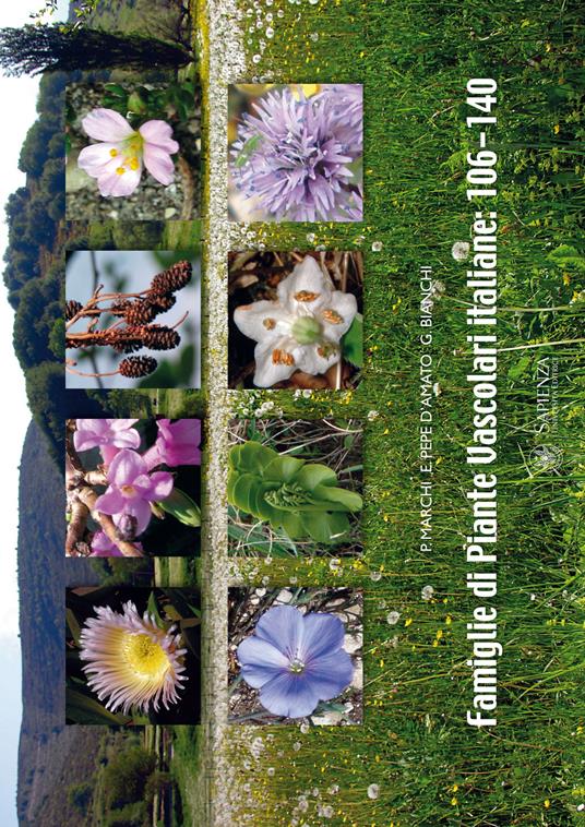 Famiglie di piante vascolari italiane 106-140. Con CD-ROM - David Palmer Marchi,Elettra Pepe D'Amato,Giovanni Bianchi - copertina