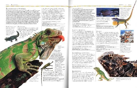 Enciclopedia degli animali. Una guida completa per comprendere il mondo degli animali - 2