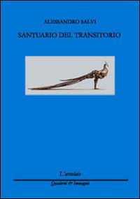 Santuario del transitorio - Alessandro Salvi - copertina