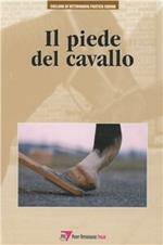 Il piede del cavallo