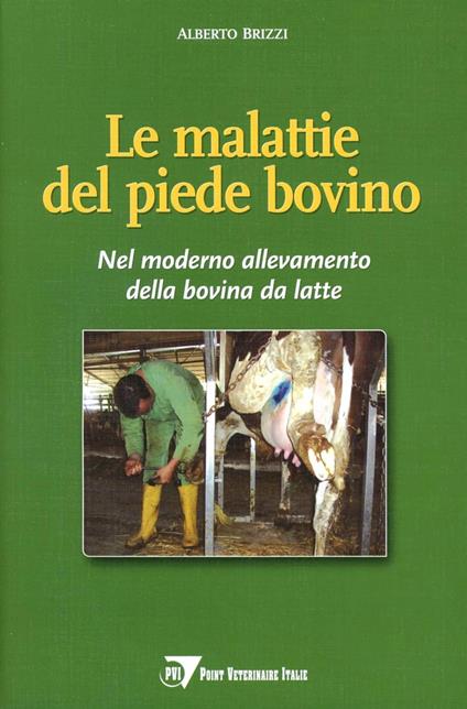 Le malattie del piede bovino. Nel moderno allevamento della bovina da latte - Alberto Brizzi - copertina